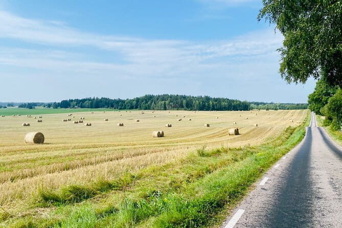 Private Roadbike Adventure in Stockholm - Who Should Consider This Tour?