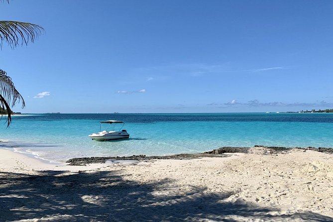 Private Rose Island Half Day Charter With Swimming Pigs - Idyllic Locations to Explore