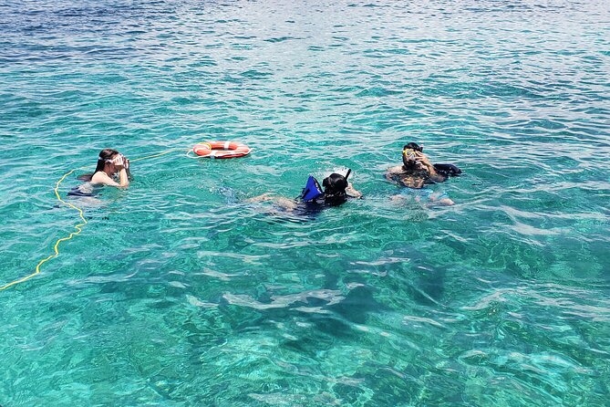 Private Rose Island Tour Snorkeling Fishing Swimming With Pigs - Personalized Experience