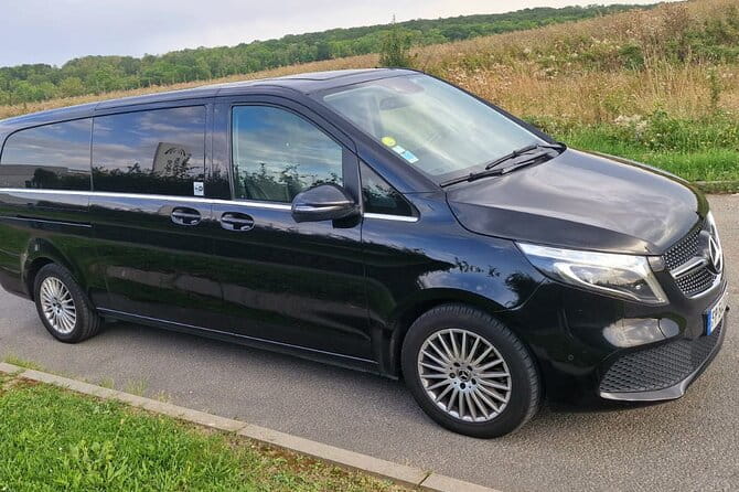 Private round trip transfer from/to PARIS  DISNEYLAND - Who Is This Transfer Best For?