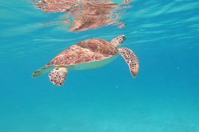 Private Sailing & Snorkeling Tour With Bar & Food in Fajardo, PR - Tour Highlights