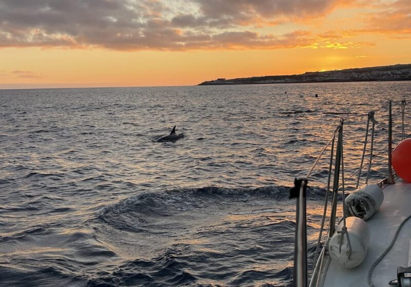 Private Sailing Sunset Tour PDL - Final Thoughts