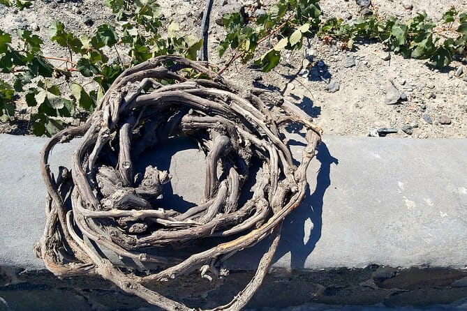 Private Santorini Wine Tasting Tour, 3 Wineries and Light Bites - Discovering Santorini’s Wineries: A Taste of Authenticity