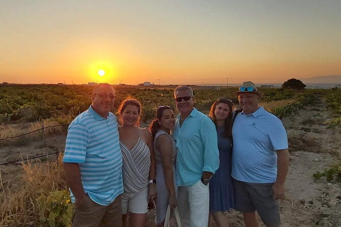 Private Santorini Wine Tasting Tour, 3 Wineries and Light Bites - Who Will Love This Tour?