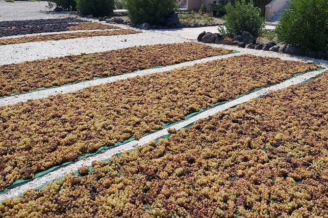 Private Santorini Wine Tasting Tour, 3 Wineries and Light Bites - FAQ