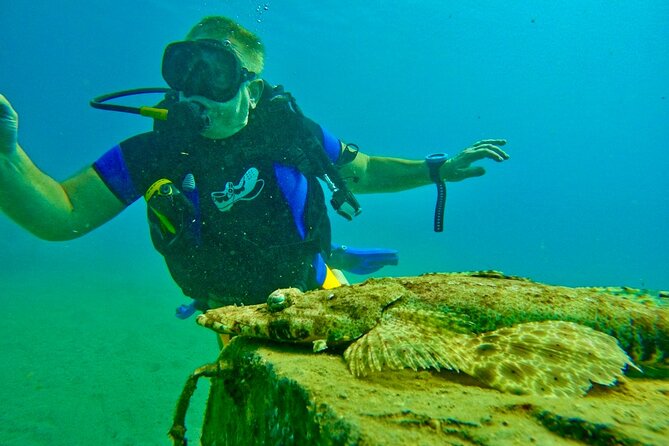 Private Scuba Diving Tour With Transportation and Guide - Customer Feedback