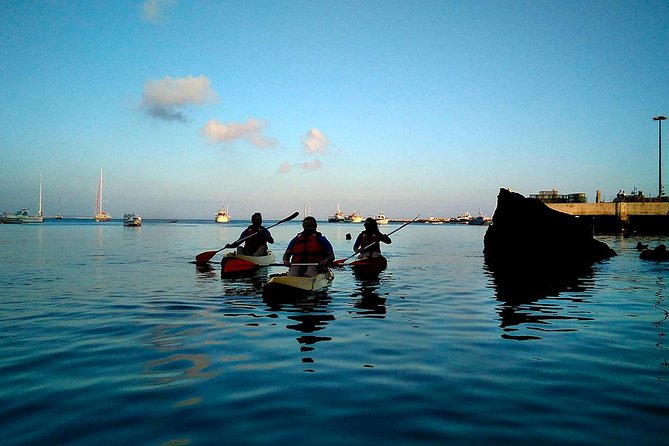 Private Sea Kayaking in Cascais Bay, Lisbon: Glide & Explore! - Beginner-Friendly and Customizable