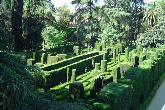 Private Sevilla Tour for families with children and teens... - Introduction to the Seville Private Family Tour