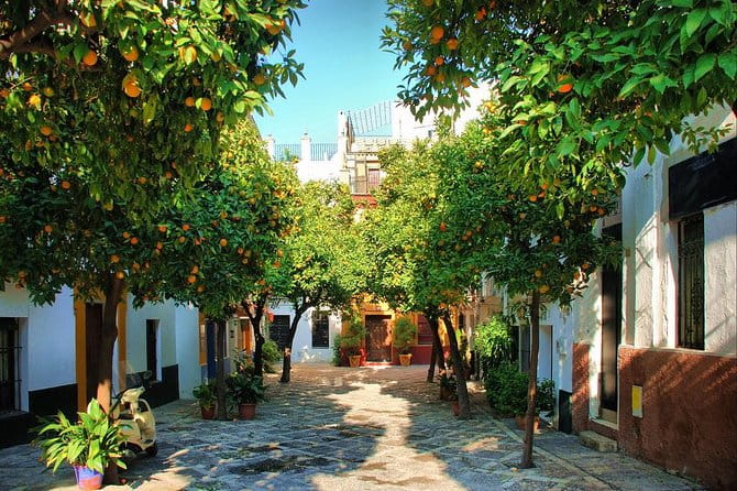 Private Sevilla Tour for families with children and teens... - Final Thoughts: Is It Worth It?