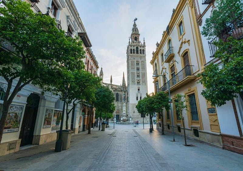 Private Seville: exclusive tour of Santa Cruz and the historic center - Key Points / Takeaways