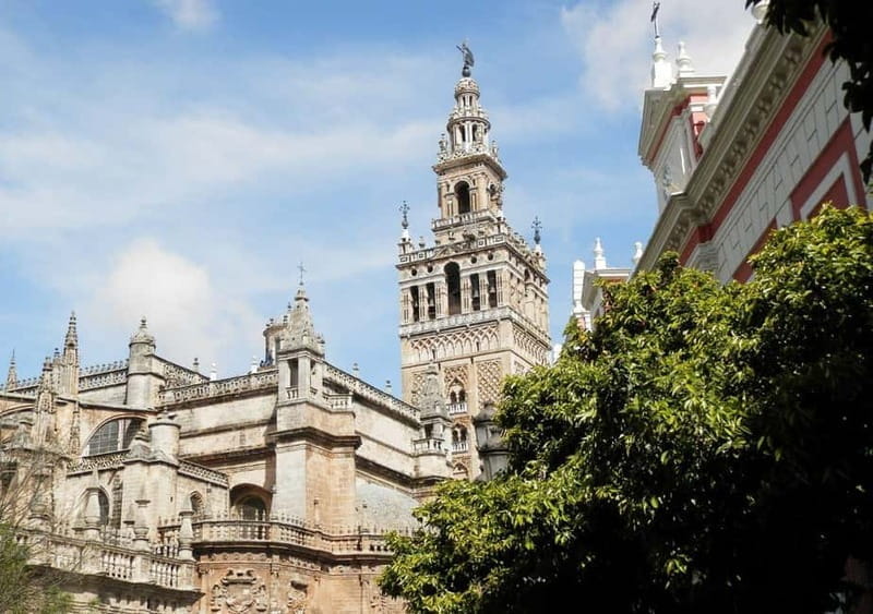 Private Seville: exclusive tour of Santa Cruz and the historic center - Who Should Consider This Tour?