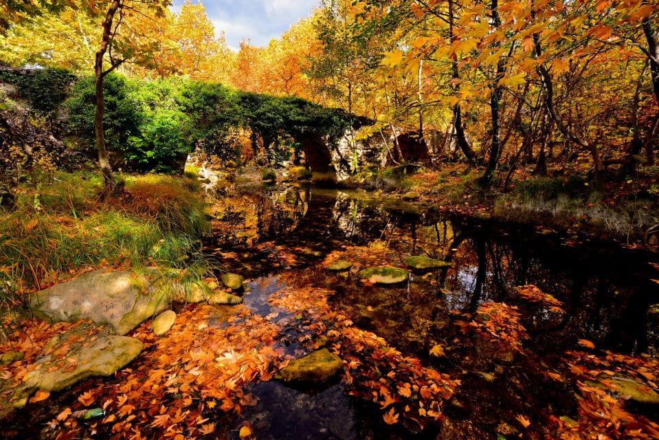 Private Shared Black Sea Tour From Istanbul or Ankara - Cancellation Policy