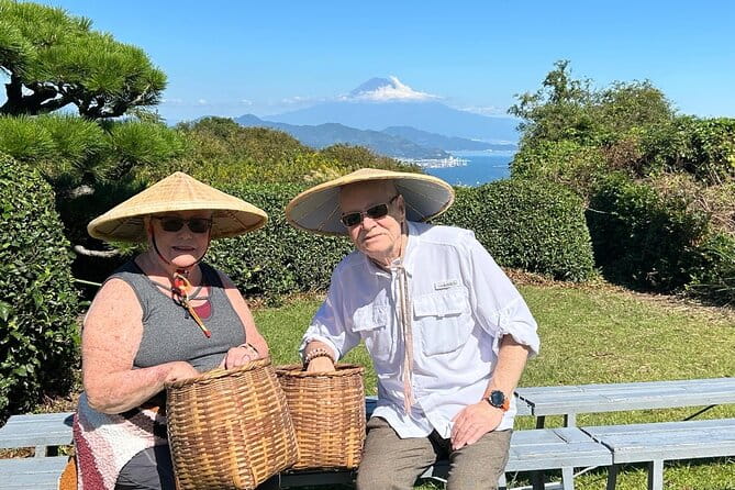 Private Shizuoka Tour From Shizuoka Station / Sedan Taxi - Key Points