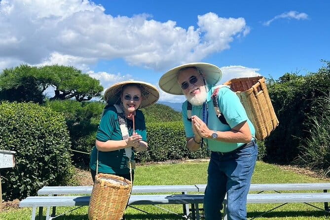 Private Shizuoka Tour From Shizuoka Station / Sedan Taxi - Physical Requirements and Accessibility