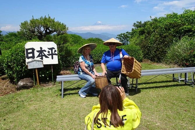 Private Shizuoka Tour From Shizuoka Station / Sedan Taxi - Booking Information