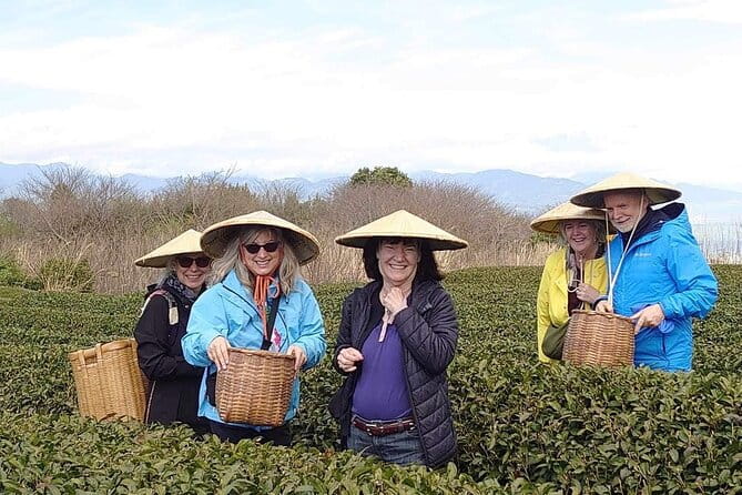 Private Shizuoka Tour From Shizuoka Station /Small Bus - Expectations and Cancellation Policy