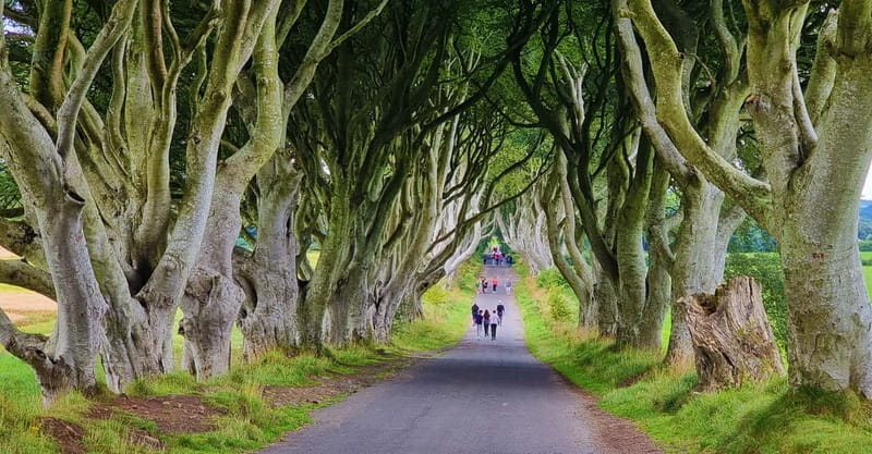 Private Shore Excursion From Belfast Cruise Terminal - Exploring Northern Ireland with a Private Guide