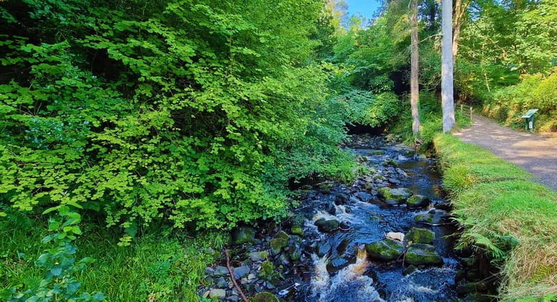 Private Shore Excursion From Belfast Cruise Terminal - Price and Value