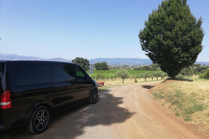 Private Shore Excursion From Civitavecchia Port - Price and Logistics: Analyzing the Value