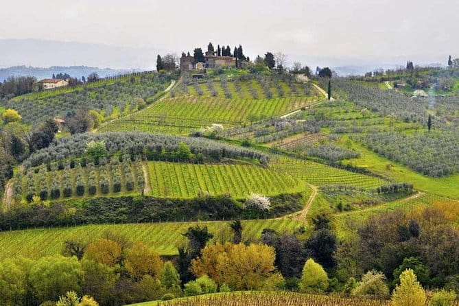 Private Shore Excursion from Livorno Port: Tuscany Highlights - The Sum Up: Why Choose This Private Tuscany Day?