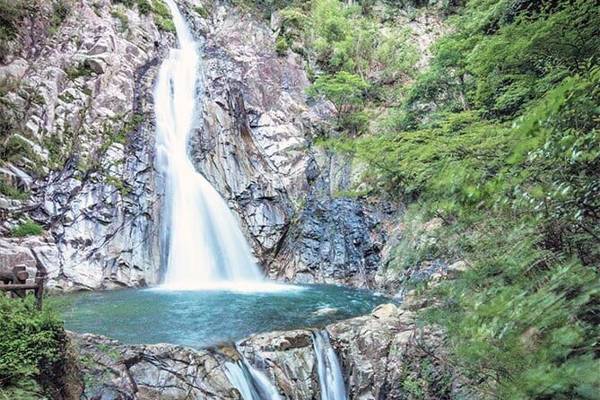 Private Shore Excursion Kobe Port - Best of Kobe With a Local - Positive Traveler Experiences