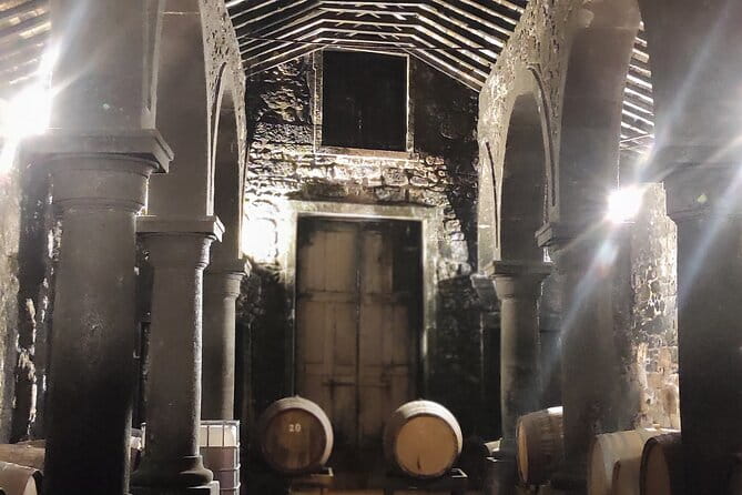 Private Shore Tour Galicia South Atlantic Coast, Portugal &Wine - Who Is This Tour Best For?