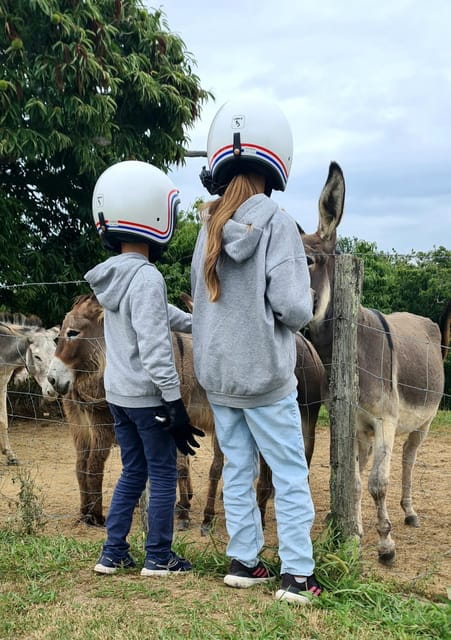 Private side-cars with drivers in the Basque Country - FAQ