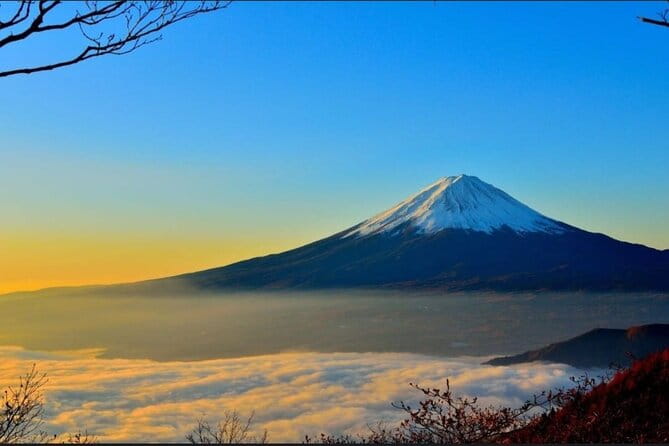 Private Sightseeing Full Day to Mt Fuji and Hakone - Key Points