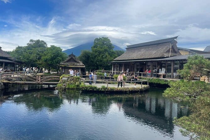 Private Sightseeing Full Day to Mt Fuji and Hakone - Positive Traveler Experiences