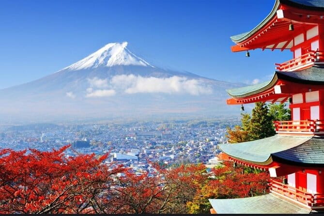 Private Sightseeing Full Day to Mt Fuji and Hakone - Booking and Pricing Options