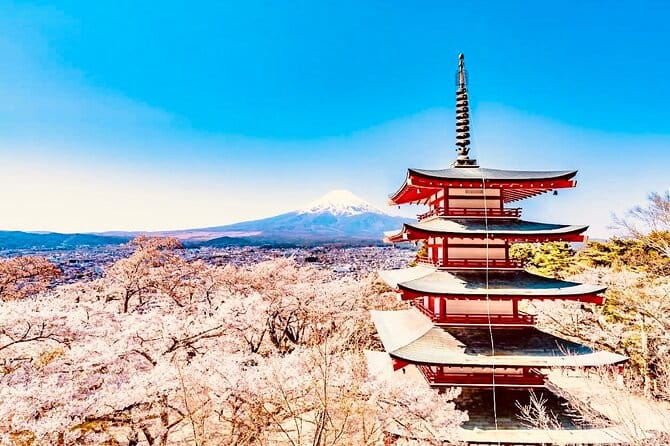 Private Sightseeing to Mt Fuji and Hakone With English Driver - Key Points