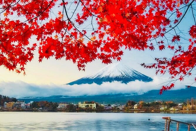 Private Sightseeing to Mt Fuji and Hakone With English Driver - Start Time