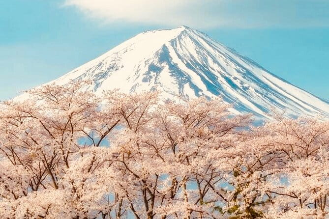 Private Sightseeing to Mt Fuji and Hakone With English Driver - Accessibility and Participation
