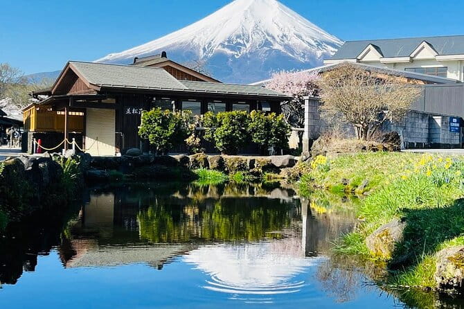 Private Sightseeing to Mt Fuji and Hakone With English Driver - Booking Information