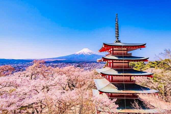 Private Sightseeing to Mt Fuji and Hakone With English Driver - Highlights of the Tour