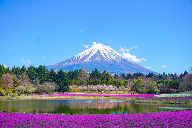 Private Sightseeing to Mt Fuji and Hakone With English Driver - Itinerary