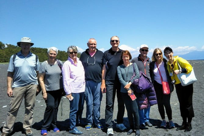 Private Sightseeing Tour From Shimizu Port / Van Taxi - Meeting Point and Transportation