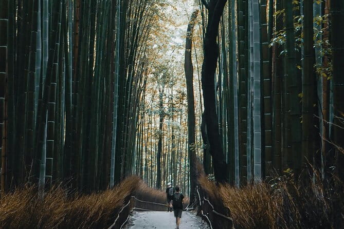 Private Sightseeing Tour to Kyoto - Transportation Details