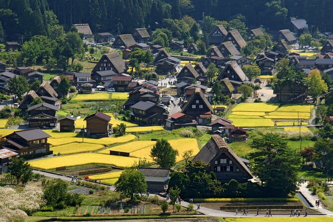 Private Sightseeing Tour to Shirakawago and Takayama From Nagoya - Booking and Cancellation Policies