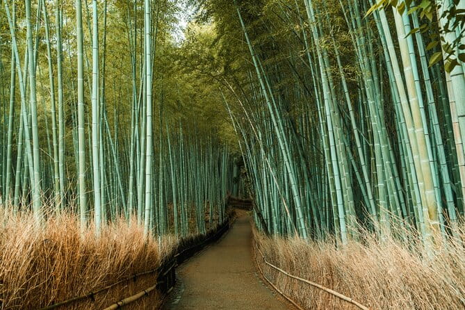 Private Sightseeing Tour Visit in Kyoto With Transfer Included - Accessibility and Health Considerations