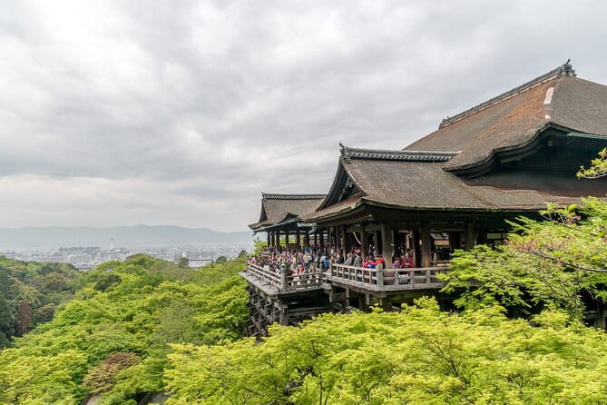 Private Sightseeing Tour Visit in Kyoto With Transfer Included - What to Expect During the Tour
