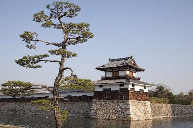 Private Sightseeing Walking Tour in Hiroshima With a Guide - Accessibility and Participation