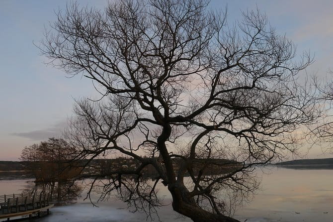 Private Sigtuna Tour from Stockholm - Oldest Town of Sweden - Who Is This Tour Best For?