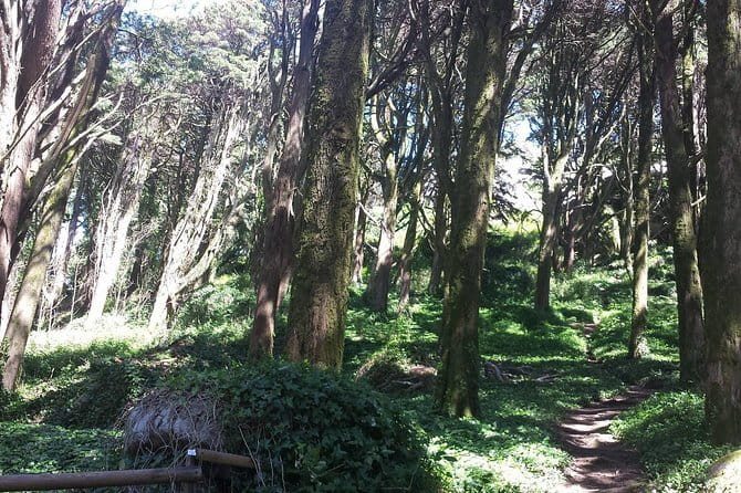 Private Sintra Day Trip from Lisbon with Wine Tasting and Monserrate Palace - Tasting Local Wines and Learning Sintra’s Wine Heritage