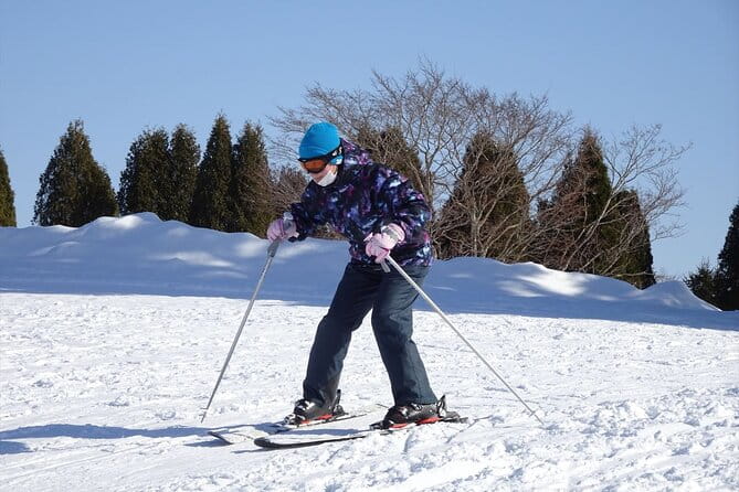 Private Ski Lesson for Beginners in Chitose - Key Points