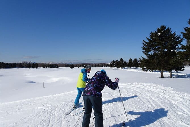 Private Ski Lesson for Beginners in Chitose - Tips for Beginners