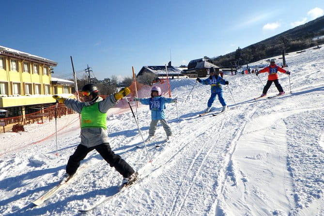 Private Ski Lesson for Family or Group(Transport Included ) - Safety and Insurance Information