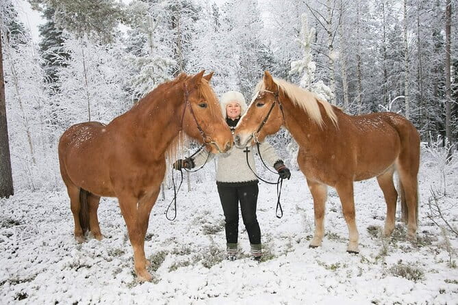 Private Sleigh Ride with Finnhorse - Final Thoughts: Who Should Book This?