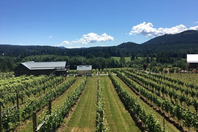 Private Small Group Transportation Cowichan Valley Wineries - Optional Extras
