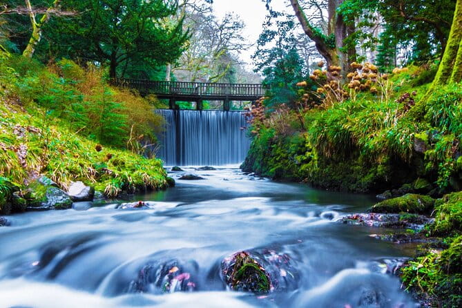 Private Snowdonia, Bodnant Gardens & Castles Tour - Swallow Falls: Nature’s Power